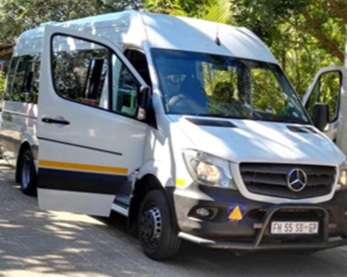 Camping setup with tents in natural surroundings