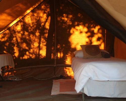 Luxury tent interior with warm golden light and comfortable bedding
