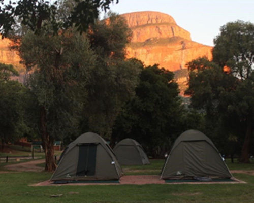 Outdoor camping scene with group activities