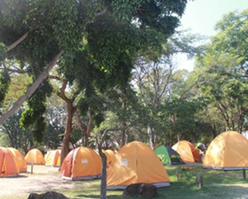 People enjoying outdoor camping experience together
