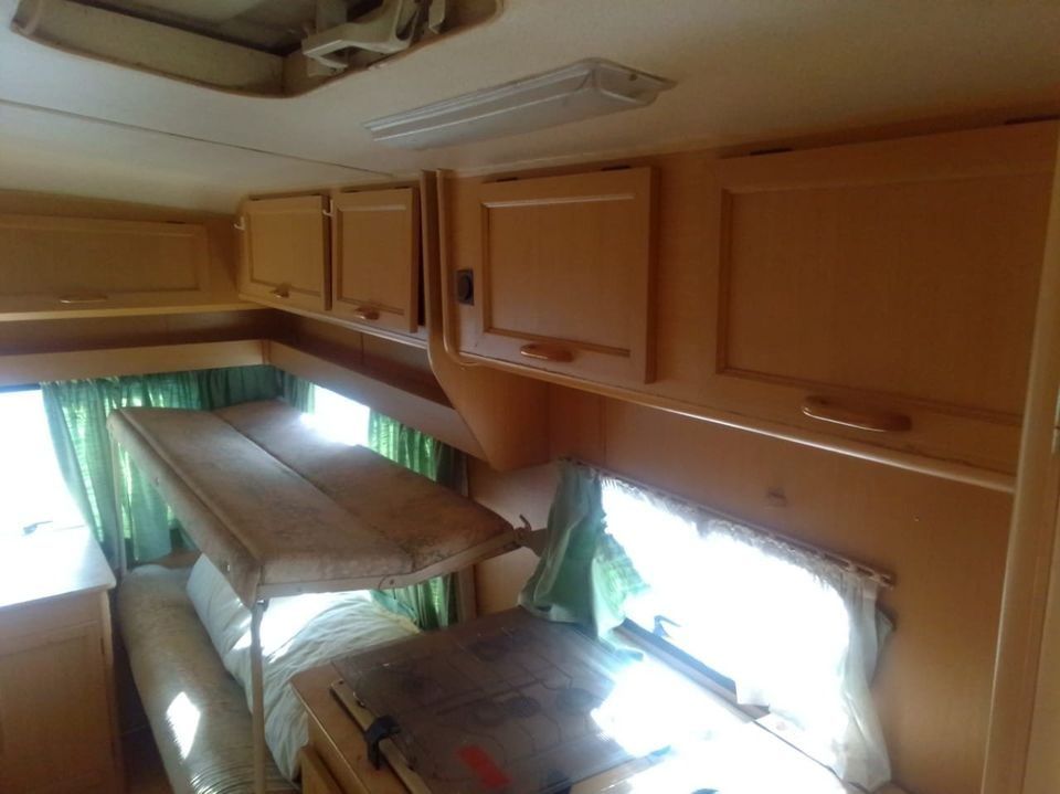 Family Gypsy photo 5